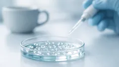 Rasvakudoksesta organoideja ilman geenimuuntelua – uusi RMF-mikrokudos voi muuttaa tutkimusta