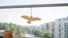 Puinen haukka tai pöllö parvekkeelle: toimiiko kyyhkyjen karkotus oikeasti